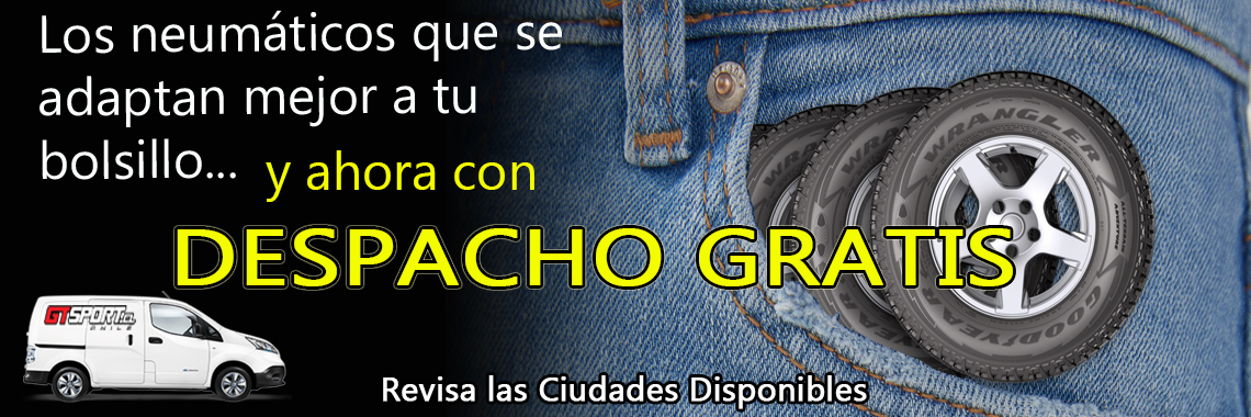 DESPACHO GRATIS NEUAMTICOS CHILE